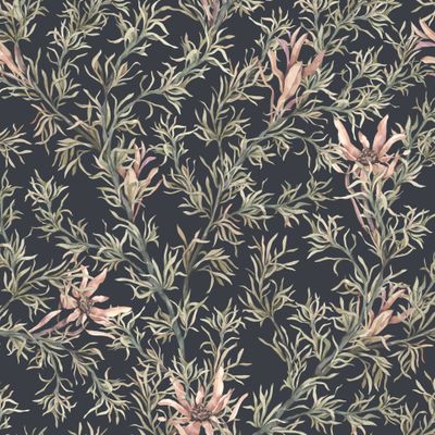 African flowers on a dark background