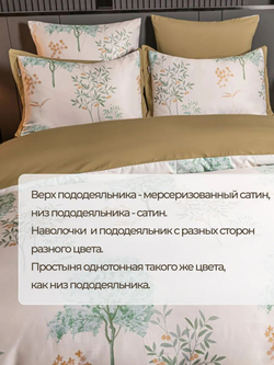 Постельное белье Семейное европростыня 245х265