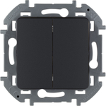 Выключатель 2х-клавишный 10А 250В антрацит Inspiria Legrand