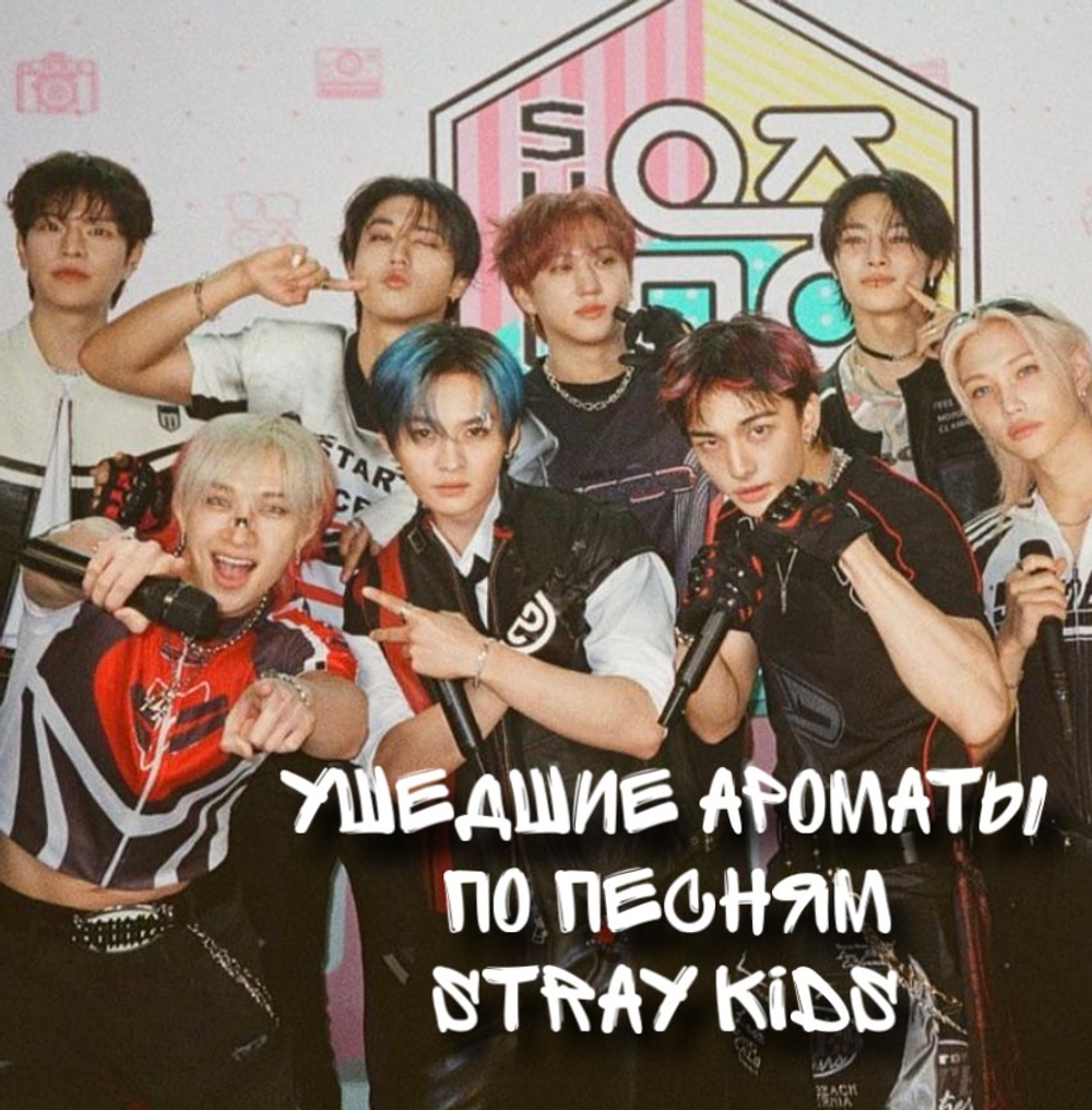 Ушедший аромат по Stray kids