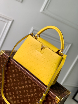 Louis Vuitton Capucines MM