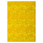 Картон цветной Апплика, А4, голографический, фольгинированный, 5 листов, 5 цветов, картонная папка, "Лев"