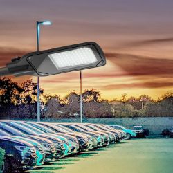 Светильник уличный светодиодный ЭРА SPP-504-0-50K-050 50Вт 5000К IP65 КСС Д консольный | Уличные консольные светильники