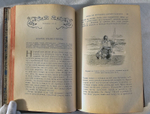 "Путешествия и удивительные приключения Робинзона Крузо". Даниель Дефо. 1902 г.