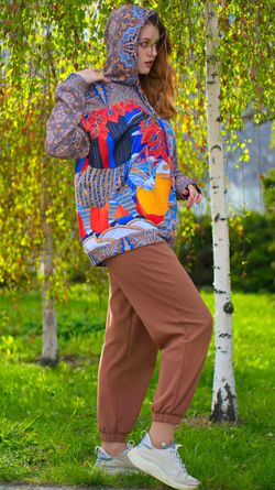 Худи «Кот учёный» (серия "Русский лубок")