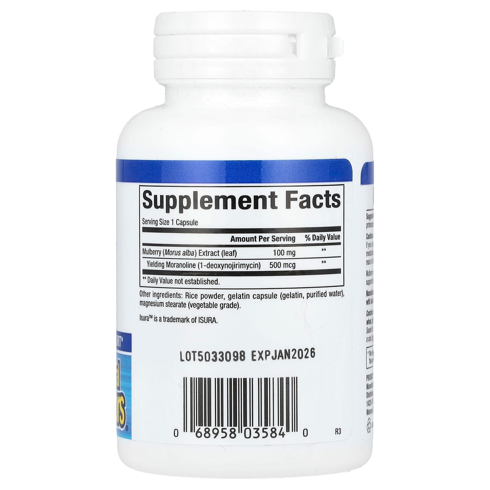 Natural Factors, WellBetX, экстракт шелковицы, 100 мг, 90 капсул