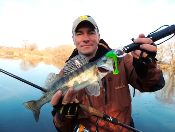 Виброхвосты съедобные LJ Pro Series TIOGA FAT 5.8in (14,7 см), цв. 071, 3 шт.