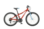 Подростковый велосипед KTM Wild Cross 24 (2020)