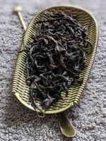 Водяная Черепаха (Шуй Цзинь Гуй)