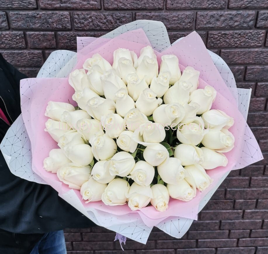 51 белая роза Эквадор 4