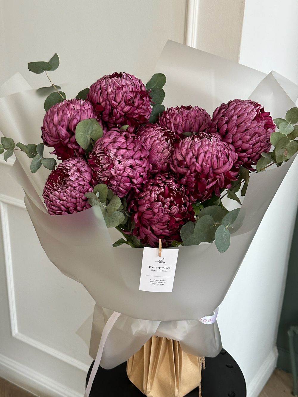 Моно из одноголовой хризантемы сливового оттенка