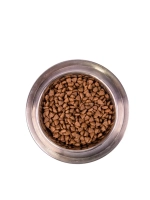 Monge (Монж) Dog PFB Specialty Monoprotein Mini (Монж мини) сухой корм из мяса лосося с рисом для взрослых собак мелких пород 15 кг