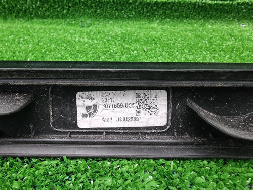 Рейлинг левый BMW X5 G05 (2018-н.в.)