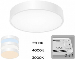 Накладной светильник Citilux CL72424V0