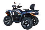 Квадроцикл Motoland 300 MAX X (с ПСМ)