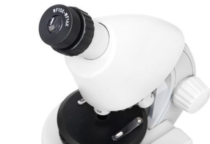 Микроскоп Levenhuk Discovery Micro Polar с книгой