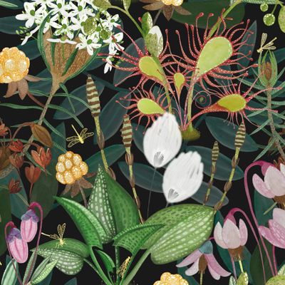 Болотные растения