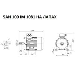 Электродвигатель трехфазный 5АИ 100 S2 IM 1081 4 кВт/3000 об.мин