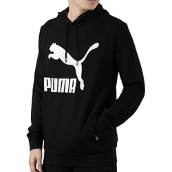 Толстовка Puma Logo, 579071-01