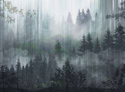 Коллекция FORESTA