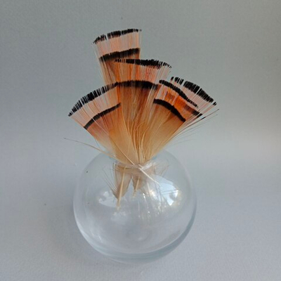 Перья рыжики фазана 3-7 см. 10 шт.