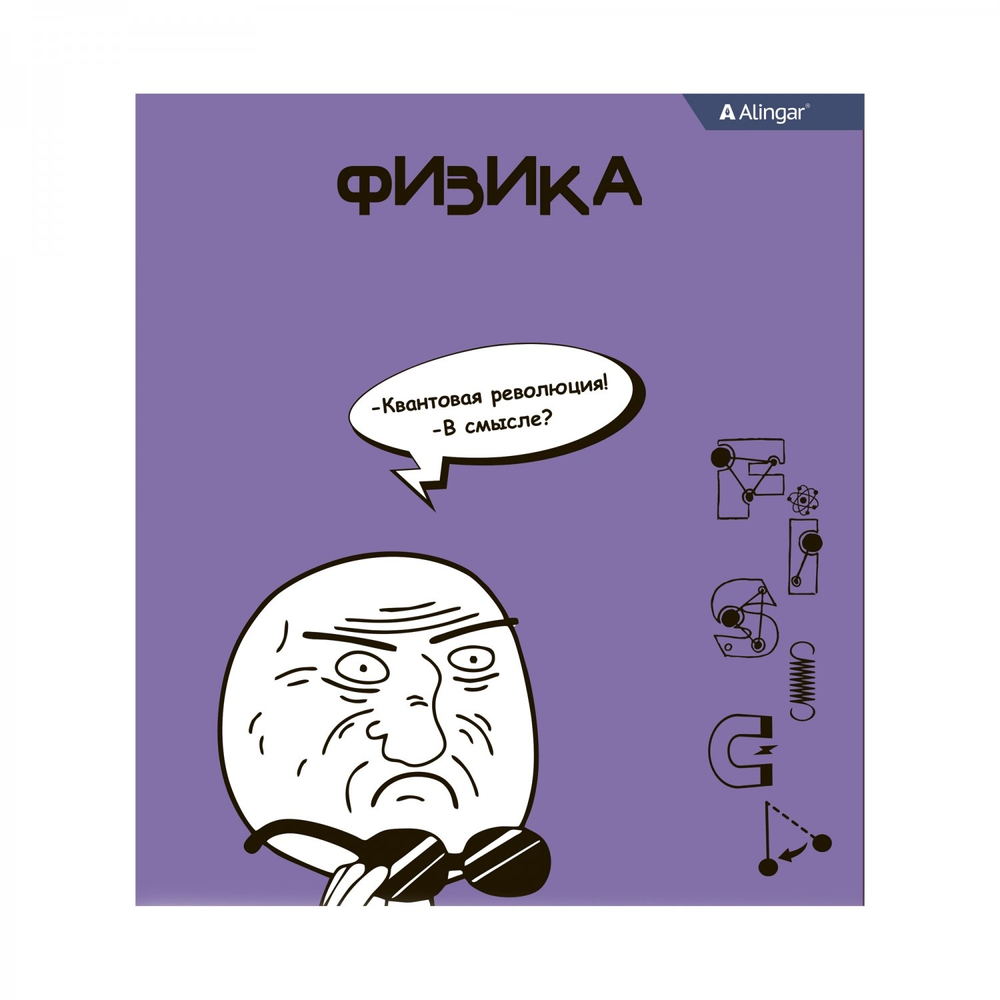 Комплект предметных тетрадей А5 48л., 10 предметов, со справ матер, скрепка, мелов. картон (стандарт), блок офсет, Alingar "Мемы"