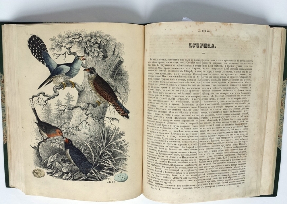 "Любителям чтения. Рассказы и описания по части географии, истории, физике и естественной истории, взятые из сочинений лучших писателей"   1849 г. - редкая книга