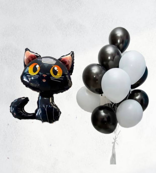 Композиция из шаров "Волшебный кот" с гелием