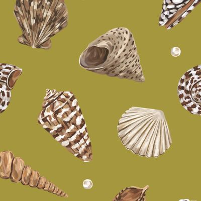 Морские ракушки на оливковом фоне