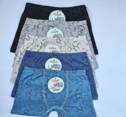 боксер МАЛЬЧИК Н3051