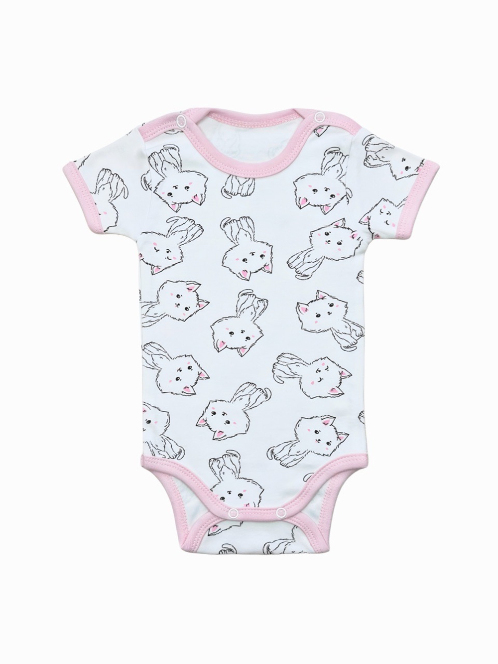 Боди Кошечки