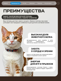 Корм сухой для взрослых кошек породы Японский бобтейл, с лососем, 5 кг, QUATTRO