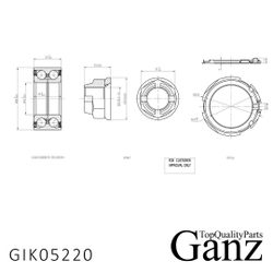 Подшипник ступицы передний OPEL Vivaro A 01 , RENAULT Espace IV 02 GANZ GIK05220