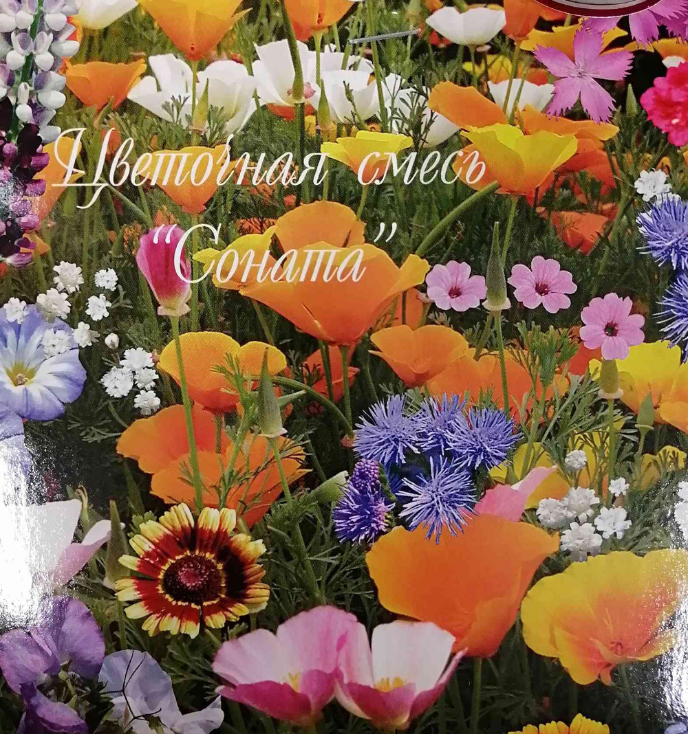 Цветочная смесь "Соната" (2г) Ц Каприс