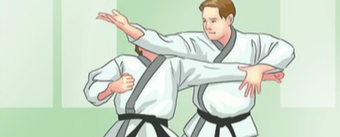 ТЕХНИКА ТХЭКВОНДО