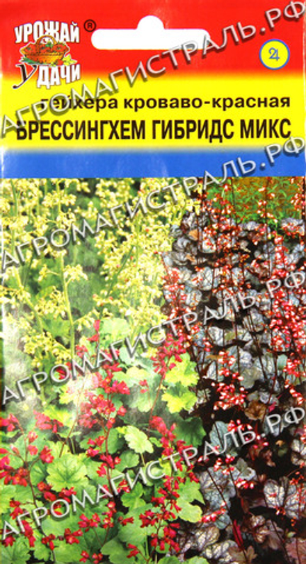Гейхера Брессингхем Гибридс микс Урожай у дачи Ц