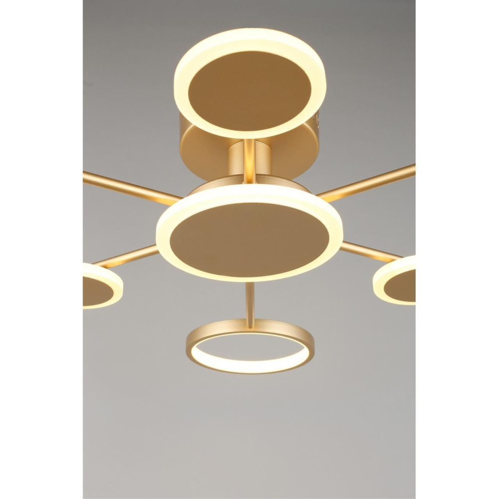 Потолочная светодиодная люстра Aployt Didian APL.015.07.33