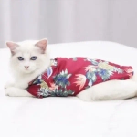 Рубашка для собак и кошек малых и средних пород «СТИЛЬНЫЙ БРО», цвет красный, принт ананасы с цветами, размер L