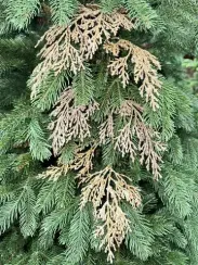 Ветвь Кипарис королевский шампань, 84 см., 1 шт., Christmas DeLuxe (86729)