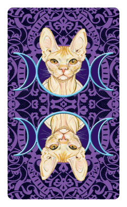 Мини Таро Языческих Кошек / Mini Pagan Cats Tarot