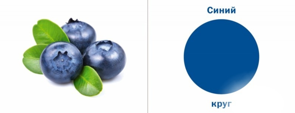 Набор карточек "Смотрю. Играю. Узнаю". Учу цвета