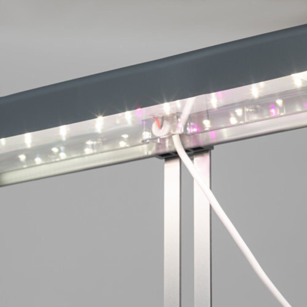 Настольный светильник для растений ЭРА FITO-20W-QLED-G полного спектра 20 Вт серый