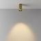 Потолочный светодиодный светильник Maytoni Technical Focus Led C056CL-L12W2.7K-W-BS
