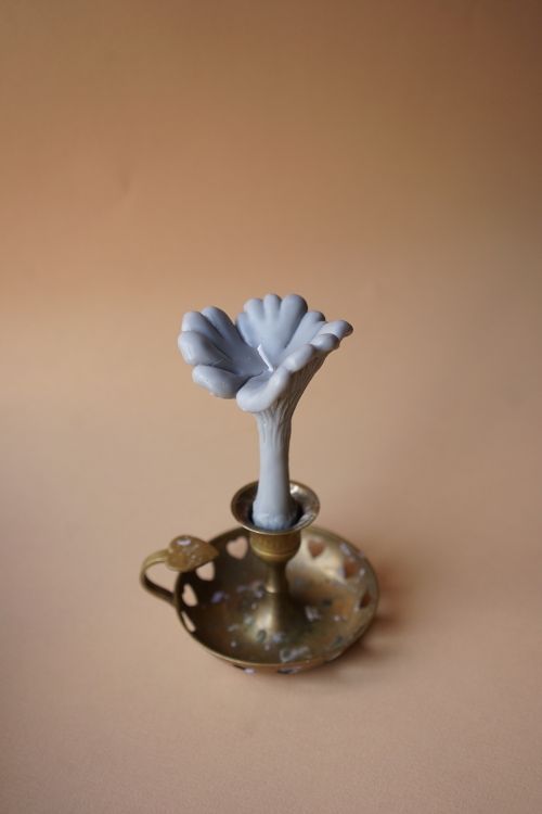 Свеча Unification Love Гриб Лисичка Серая (Пачули и дерево)