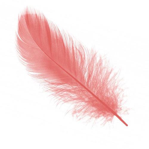 Перья коралловый  14-17 см, 30 шт ВП