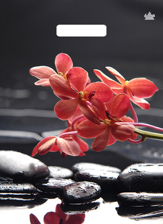 Пакет ВУР 31*40см /60 мкм Гармония NEW /1 шт