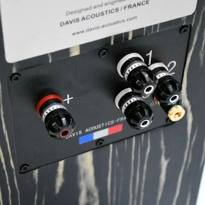 Полочная акустика Davis Acoustics MV One Master