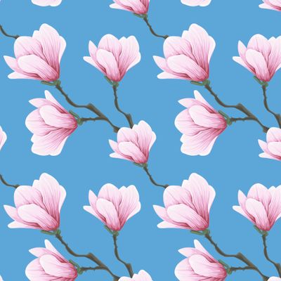 цветы магнолии