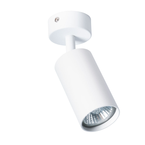 Накладной светильник Arte Lamp AQUARIUS A3216PL-1WH
