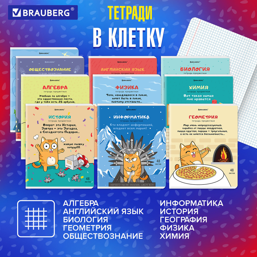 Тетради предметные комплект 12 ПРЕДМЕТОВ 48 л. TWIN-лак BRAUBERG "КОТ-ЭНТУЗИАСТ" (2 штуки в упаковке)